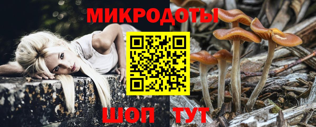 Псилоцибиновые грибы GOLDEN TEACHER  наркота  Бугуруслан  Вход с VPN 